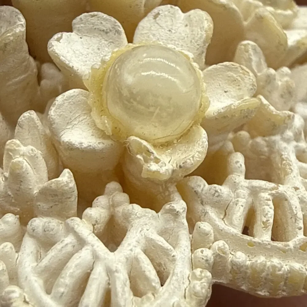 Vintage Celluloid Brooch Carved Floral Openwork Lace Pin With Pearls READ